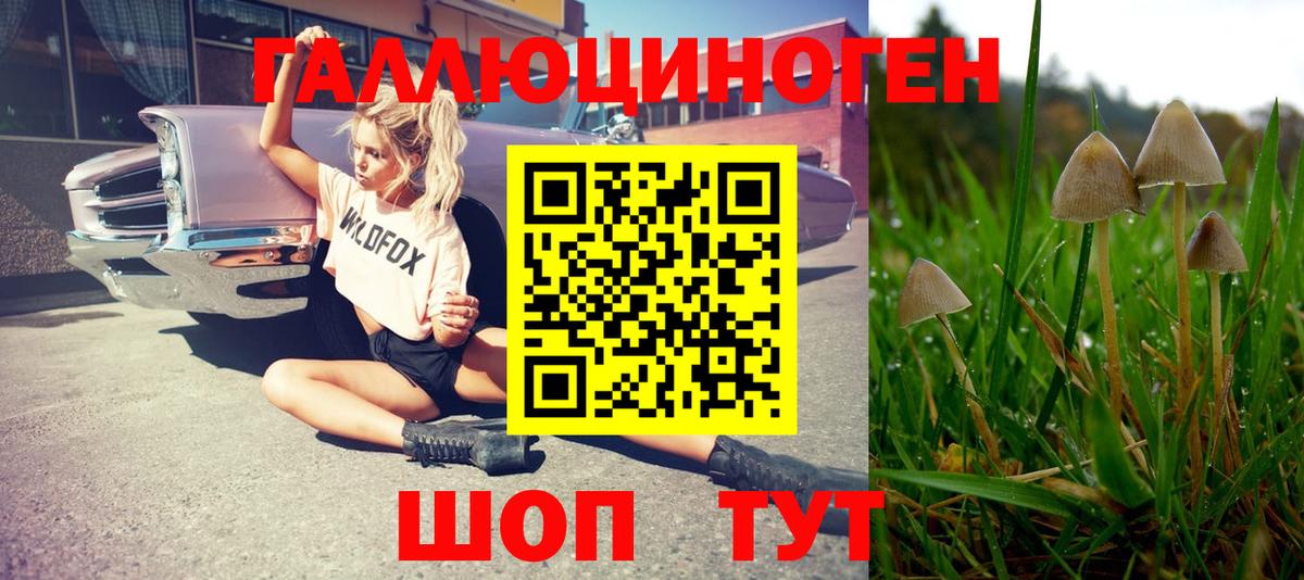 Псилоцибиновые грибы прущие грибы Елабуга